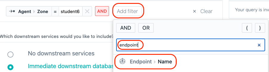 endpointFilter
